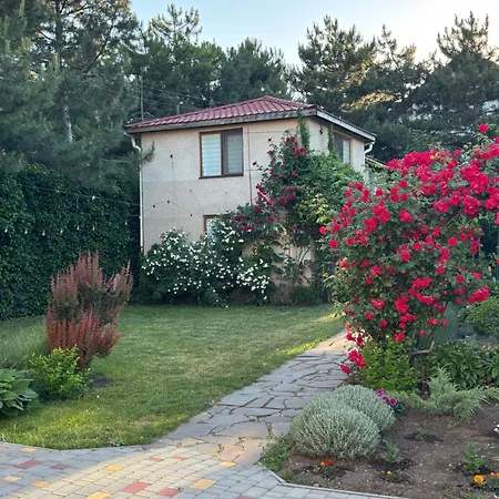 Flat Near The Sea